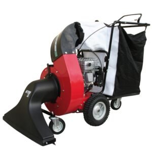 Benassi AF200 - Aspirafoglie a Benzina Professionale GX200 196cc
