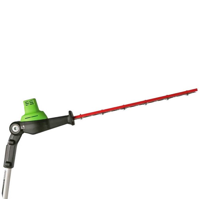 Greenworks GD40PSHK2X Potatore Tagliasiepi a Batteria (2 incluse) - immagine 18